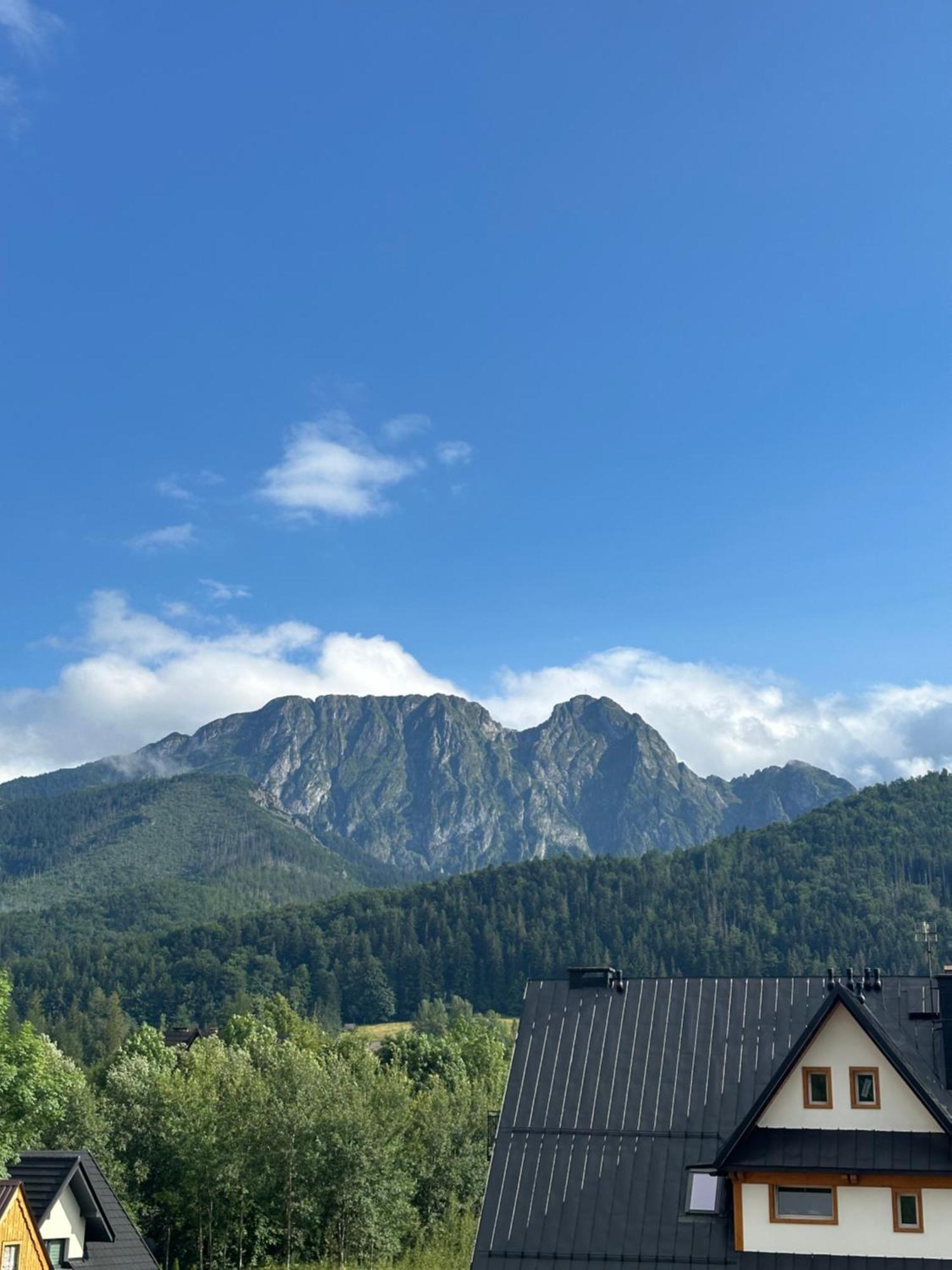 Willa Szafran Zakopane Eksteriør bilde