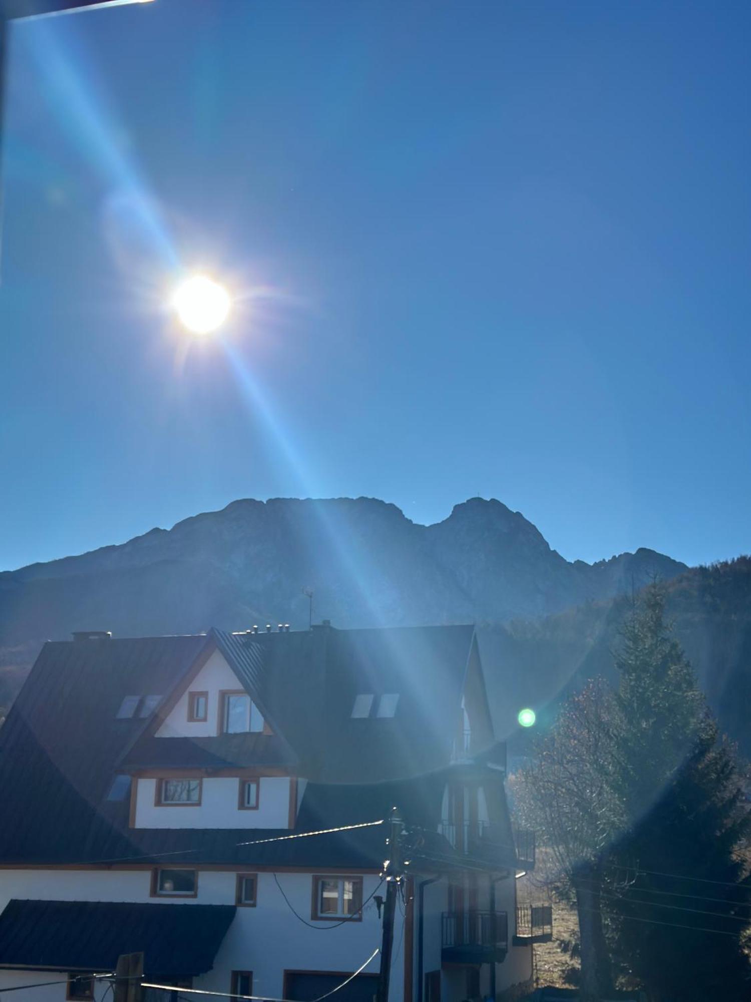 Willa Szafran Zakopane Eksteriør bilde